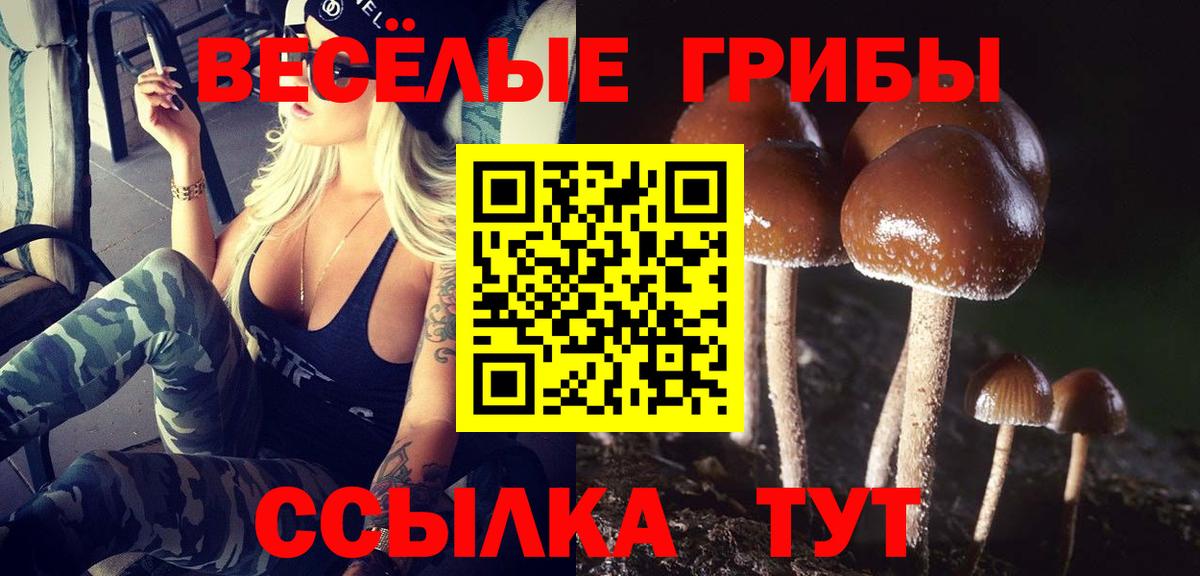 Псилоцибиновые грибы ЛСД Качканар